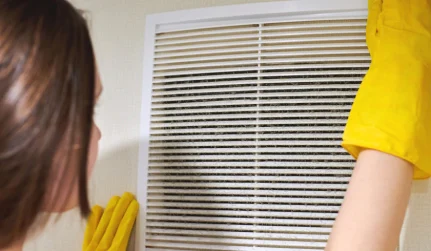 Air Duct Cleaning