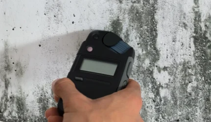 Mold Inspection and Testing